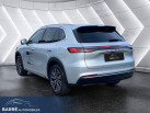 GEELY STARRAY