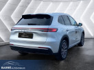 GEELY STARRAY