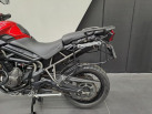 TRIUMPH Tiger