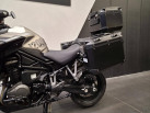 TRIUMPH Tiger