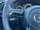 MAZDA CX-30 2.0L e-SKYACTIV X M Hybrid 186 ch 4x2 BVA6 Nagisa
